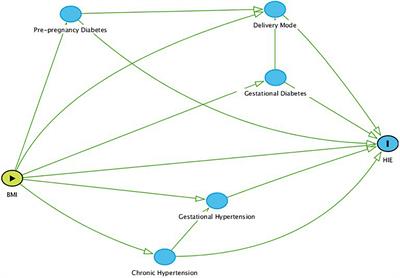 Association of Maternal Obesity and Neonatal Hypoxic-Ischemic Encephalopathy